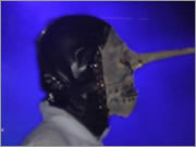 Slipknot Bildschirmschoner 